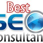 konsultan seo profesional