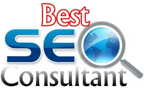 konsultan seo profesional