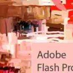 Adobe Flash Profesional