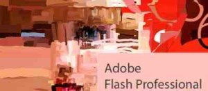 Adobe Flash Profesional