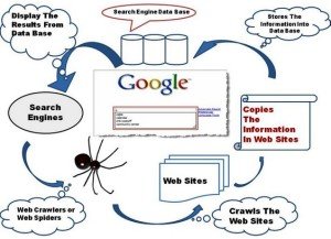 Pengertian Apa Itu Web Crawler
