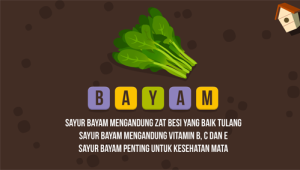 Media Pembelajaran buah dan sayur